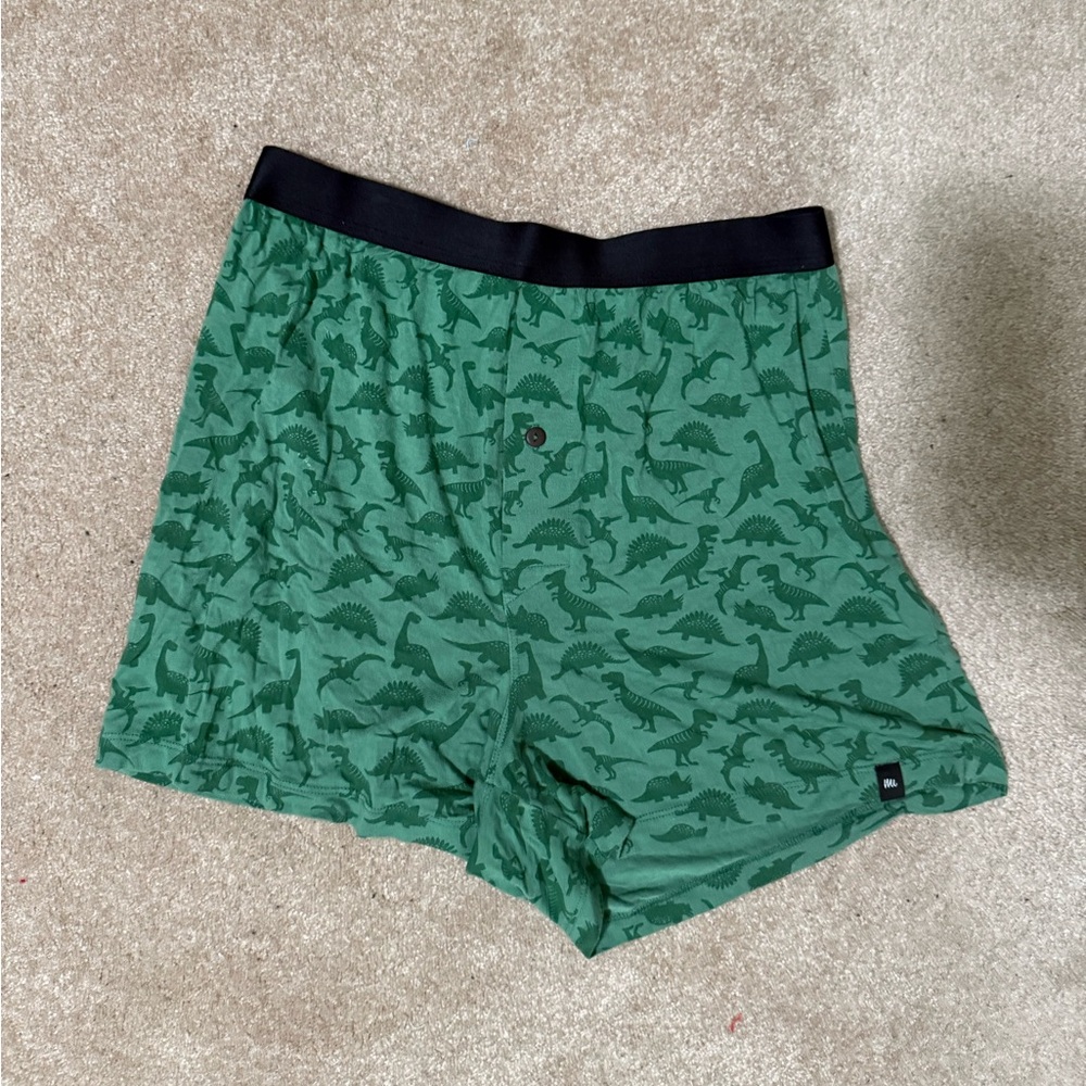 Green Dinosaur Print Men's meundies Boxers